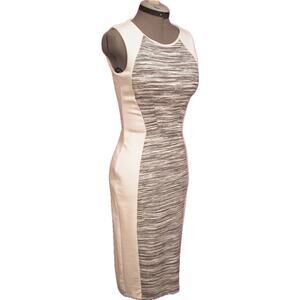 H&M Sheath Dress Hourglass Black & White Sz M Stretchy